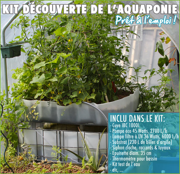 kit-aquaponie-pack1