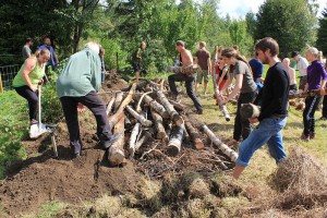 permaculture formation