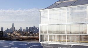 gothamgreen-728x400