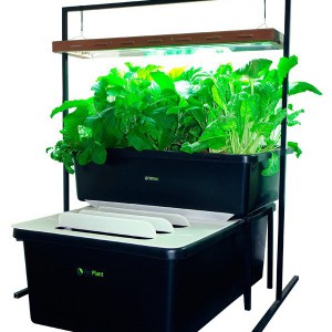 kit-aquaponie-fishplant-family-unit-600x600