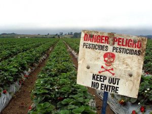 pesticides-danger