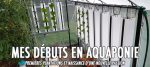 Mes débuts en aquaponie